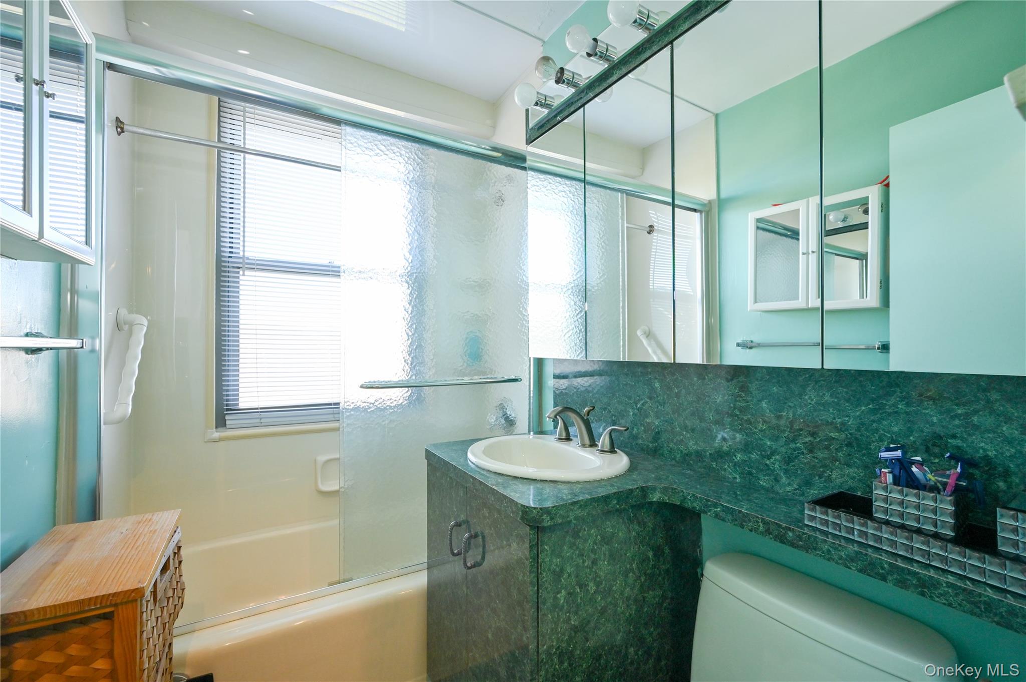 61-20 Grand Central Parkway C 306 Property Photo 16