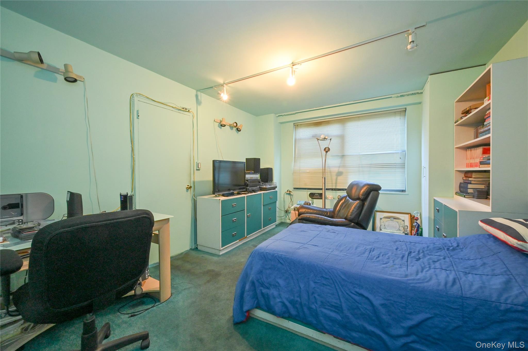 61-20 Grand Central Parkway C 306 Property Photo 18