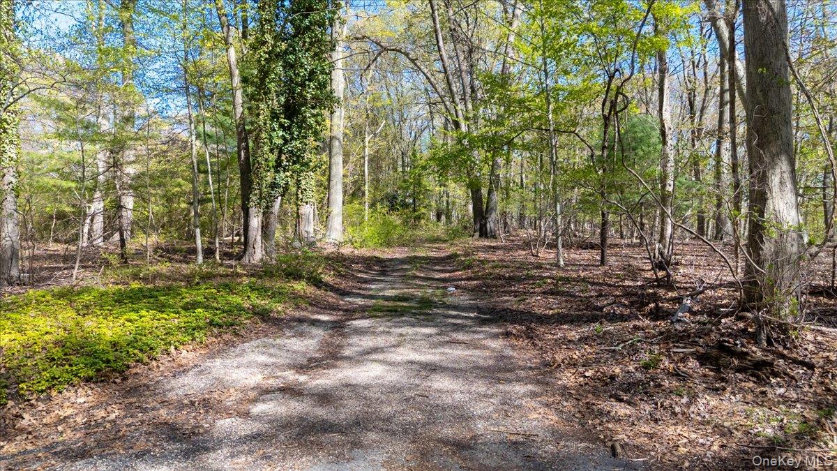 7 Spring Hill Property Photo 3