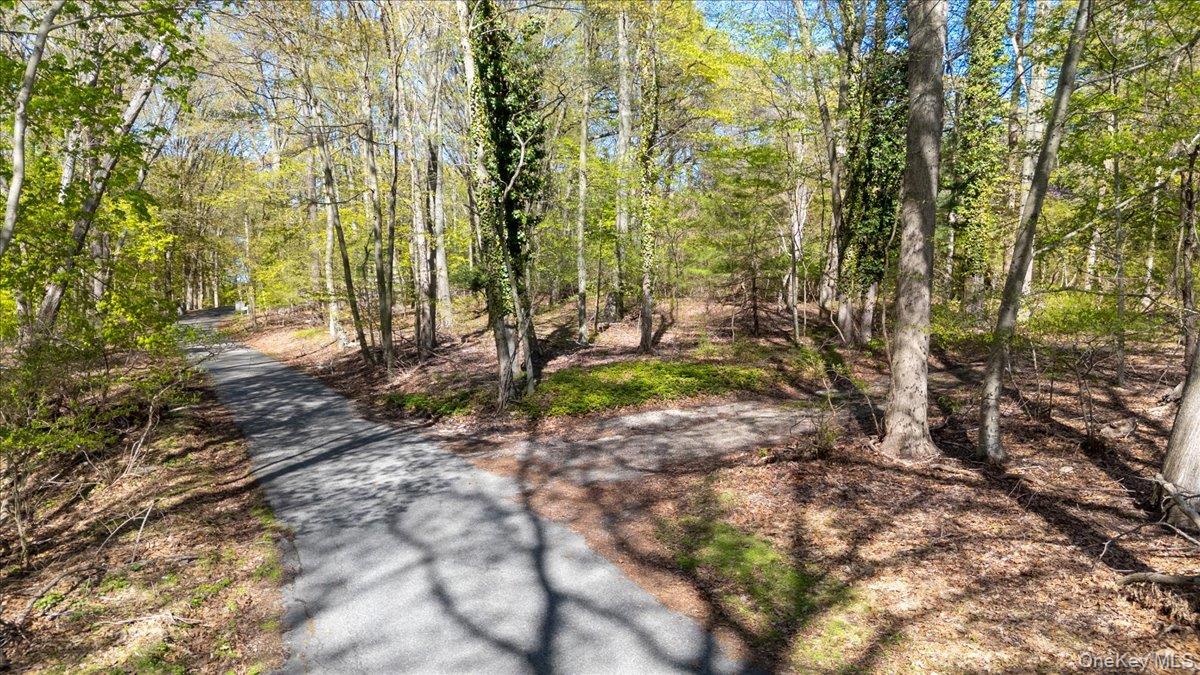 7 Spring Hill Property Photo 4