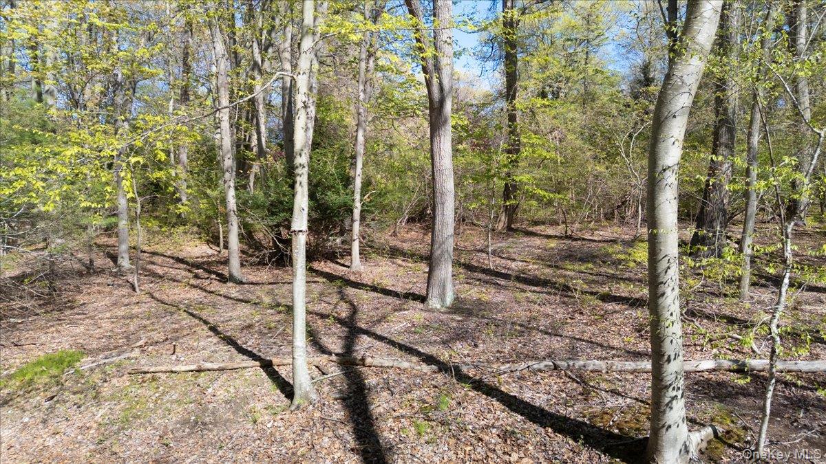 7 Spring Hill Property Photo 5