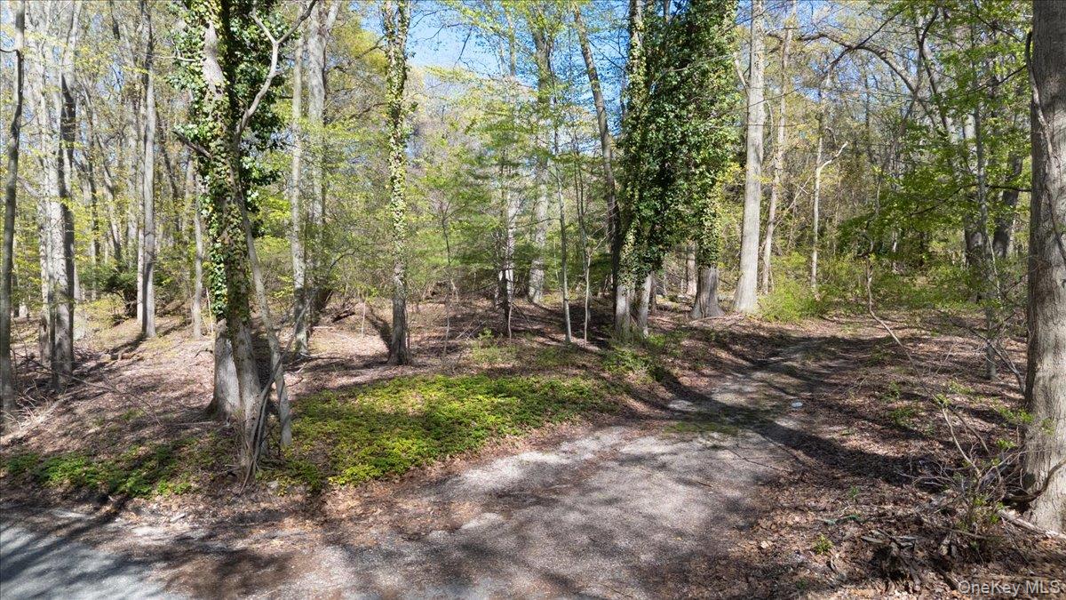 7 Spring Hill Property Photo 6
