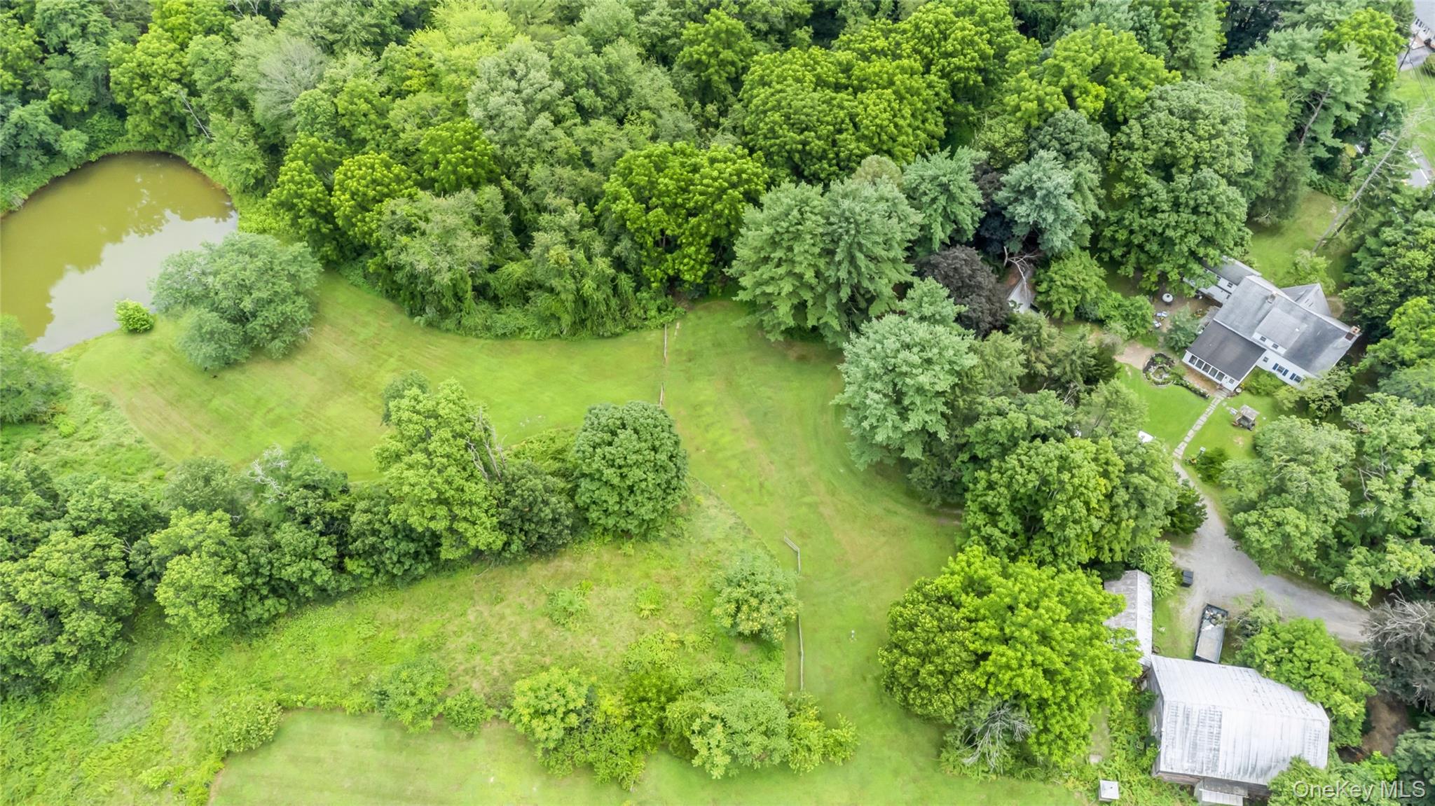 93 Widmer Road Property Photo 2