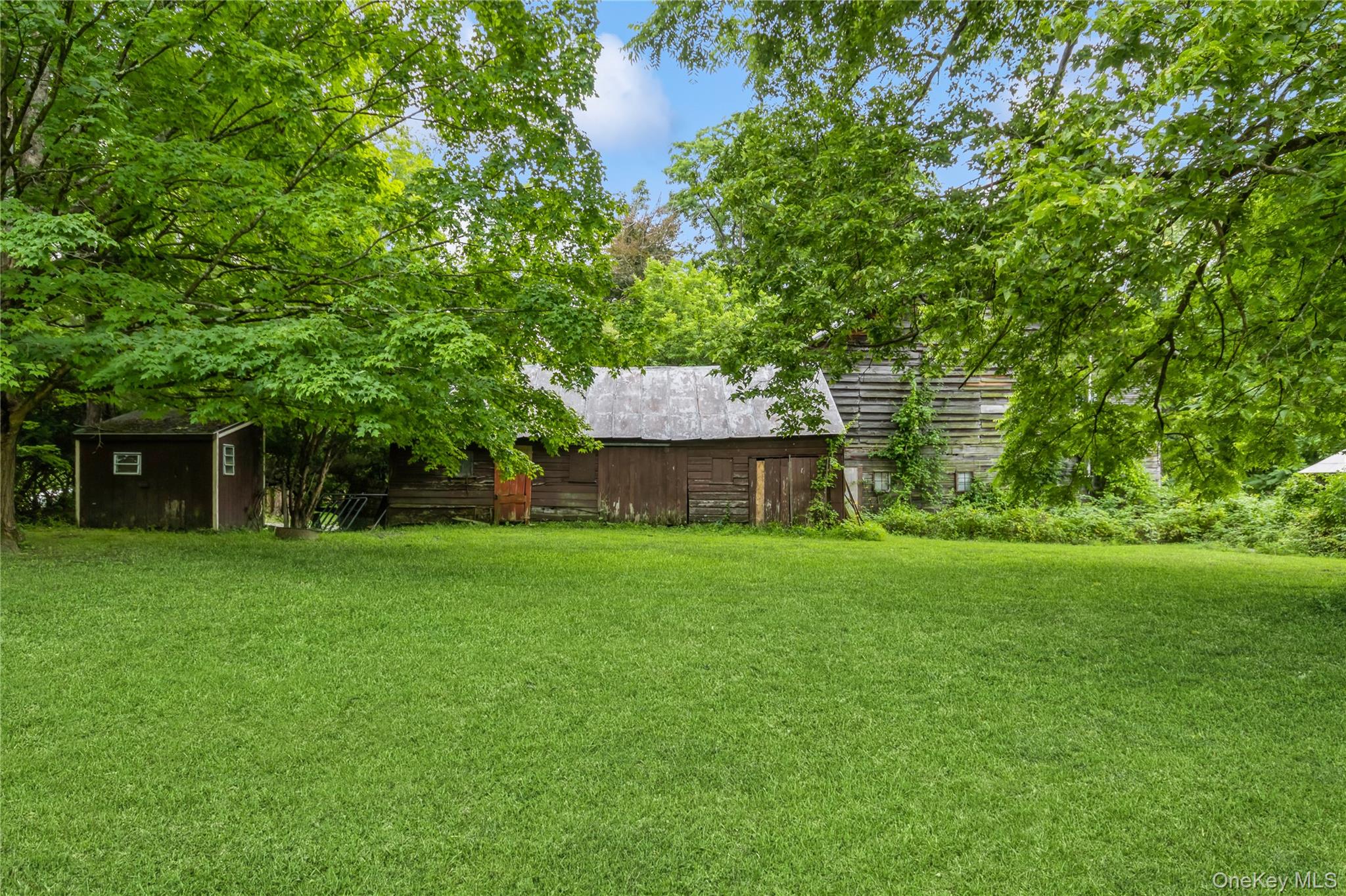 93 Widmer Road Property Photo 5
