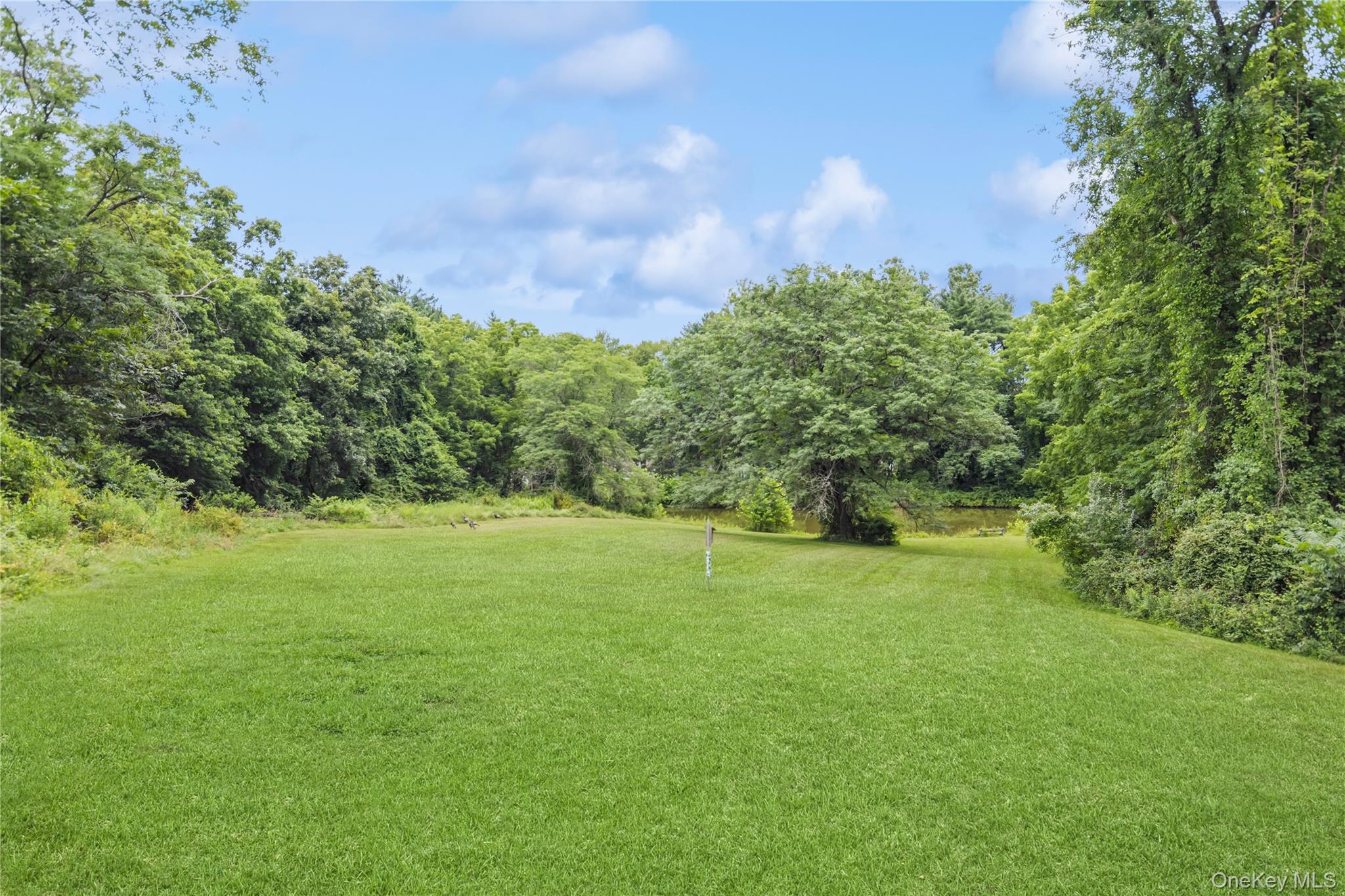 93 Widmer Road Property Photo 38