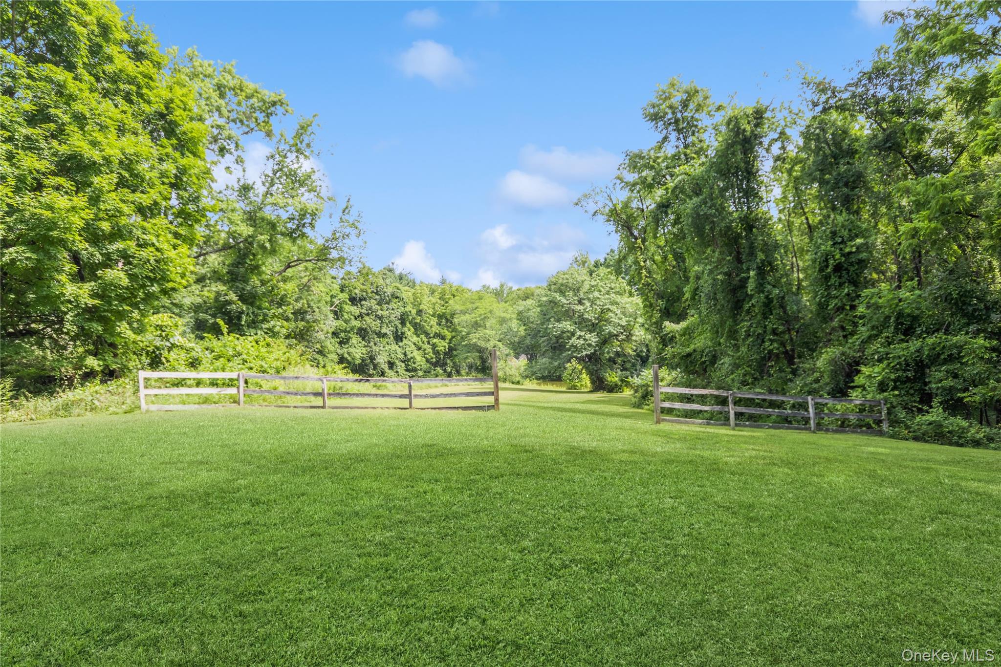 93 Widmer Road Property Photo 41