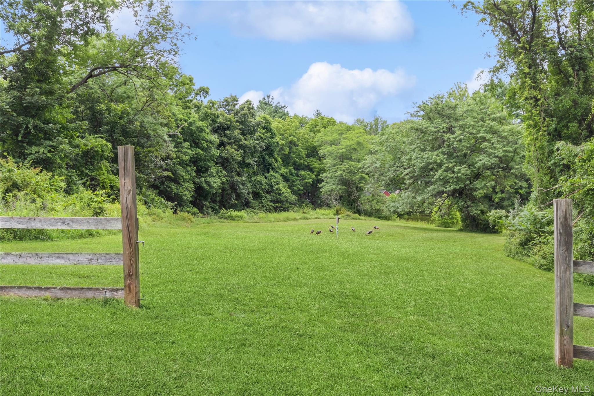 93 Widmer Road Property Photo 45