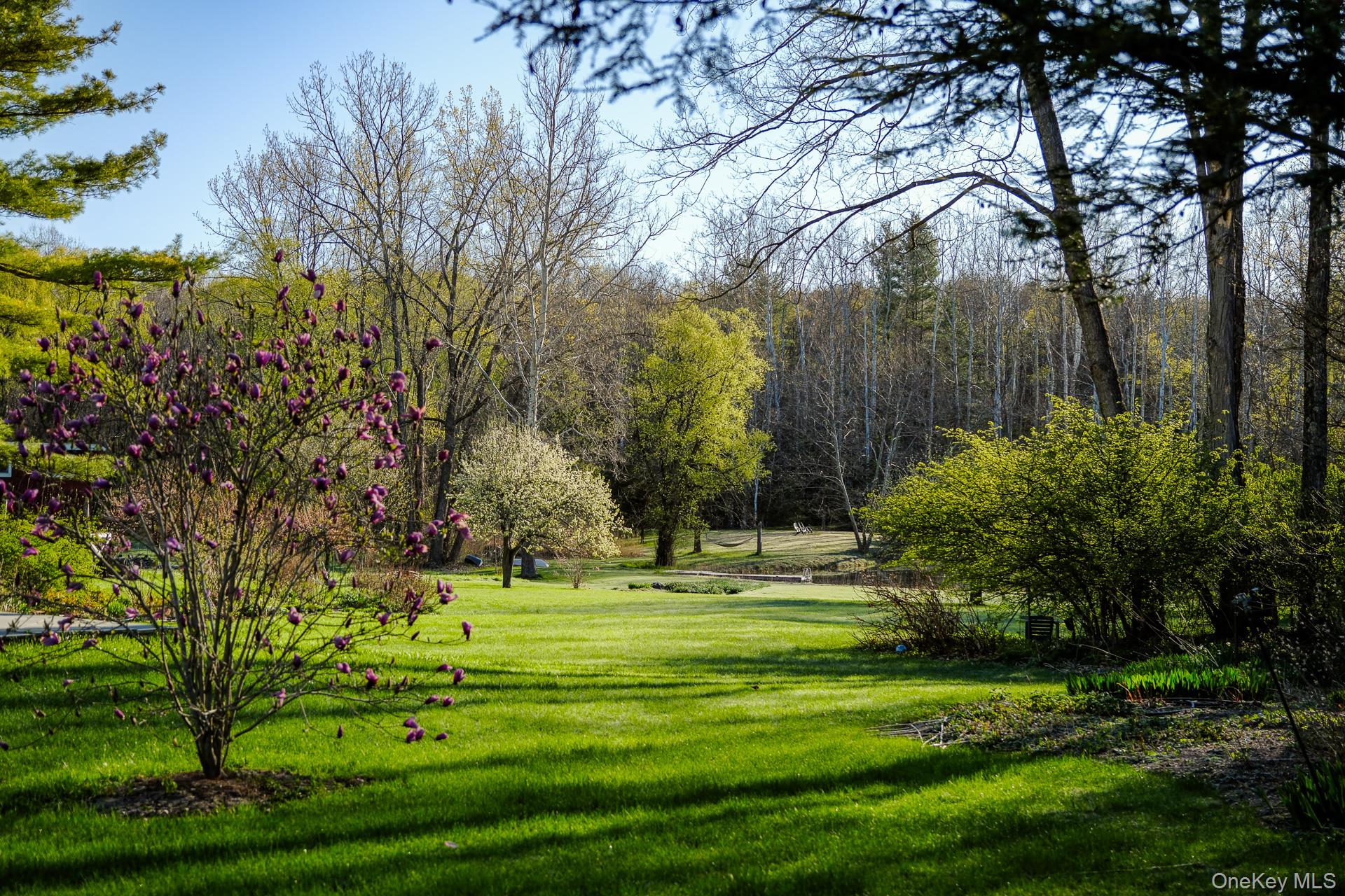 151 Benson Hill Road Property Photo 4