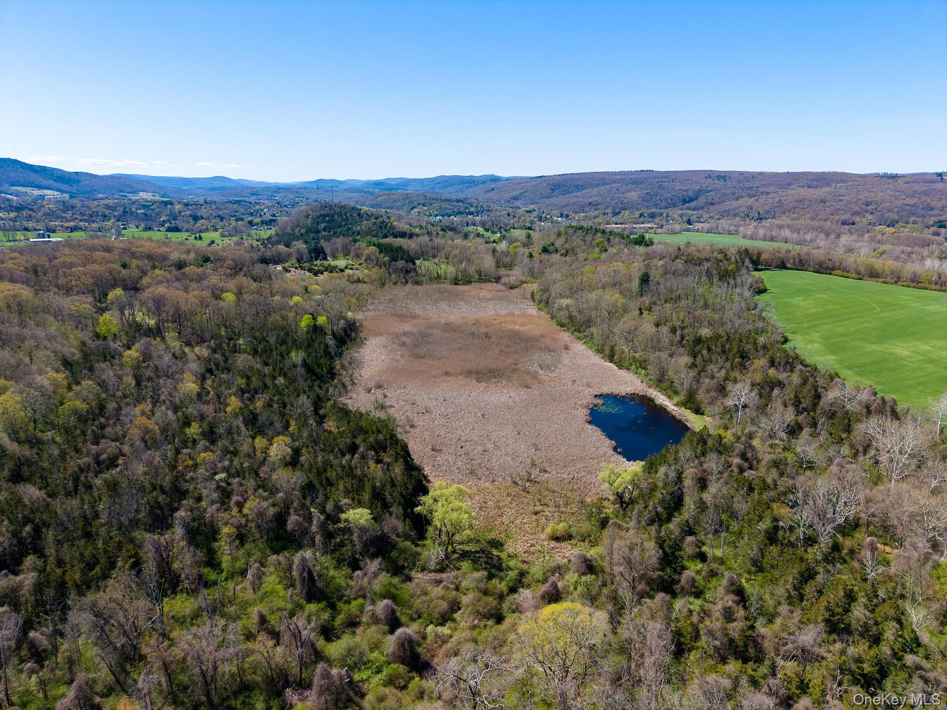 151 Benson Hill Road Property Photo 37