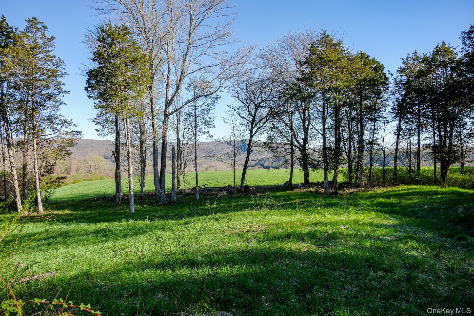 151 Benson Hill Road Property Photo 39