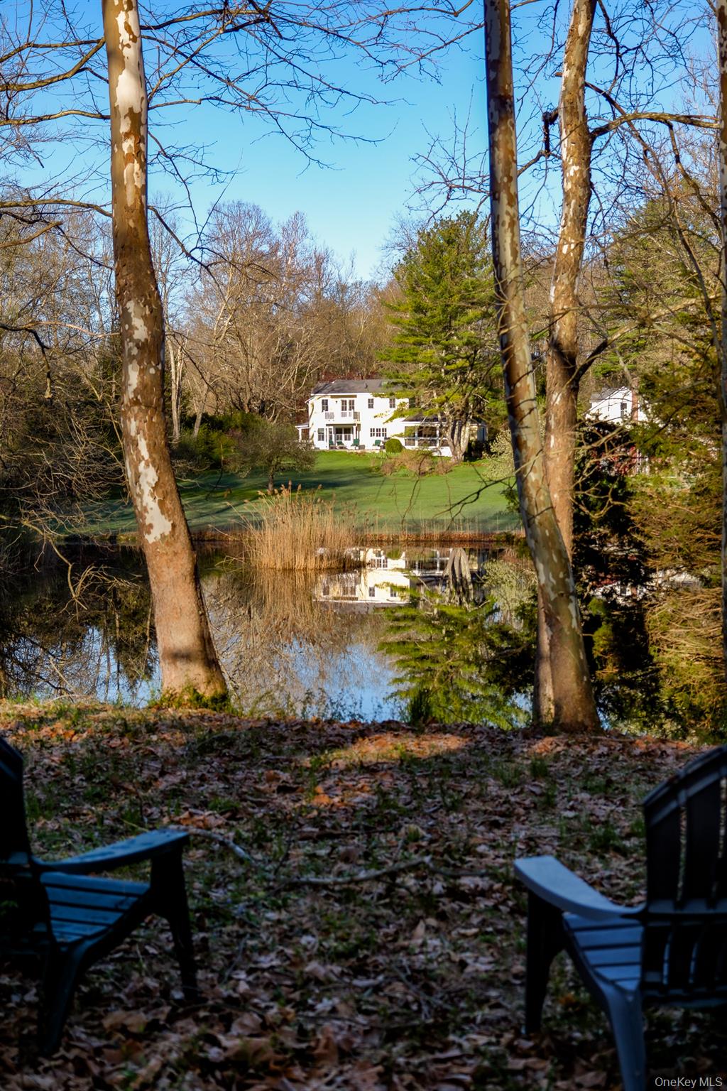 151 Benson Hill Road Property Photo 41