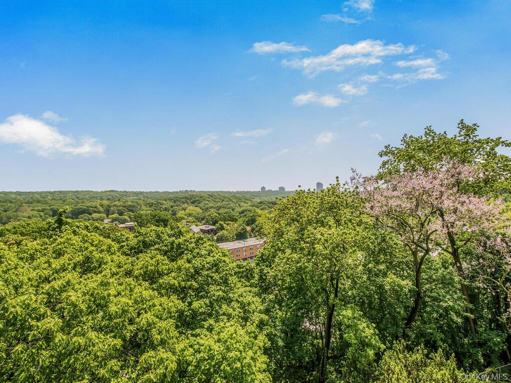 5500 5500 Fieldstone Road Property Photo 10