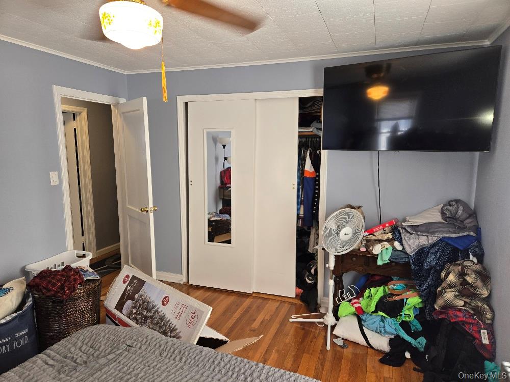 12 Carson Street Property Photo 13