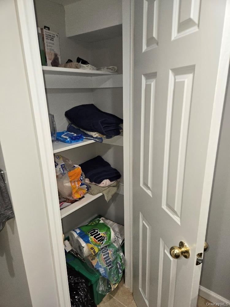 12 Carson Street Property Photo 26