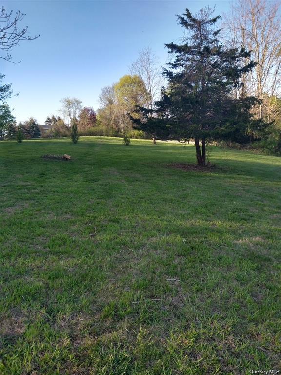 Harley Tucker Hill Property Photo 9