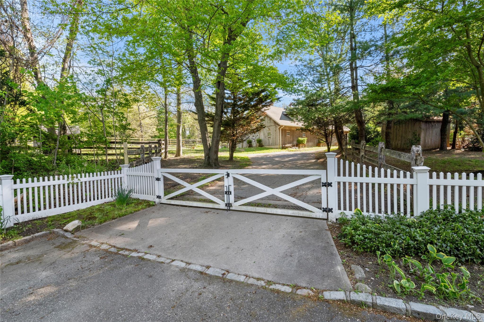 540 Chicken Valley Road Property Photo 17