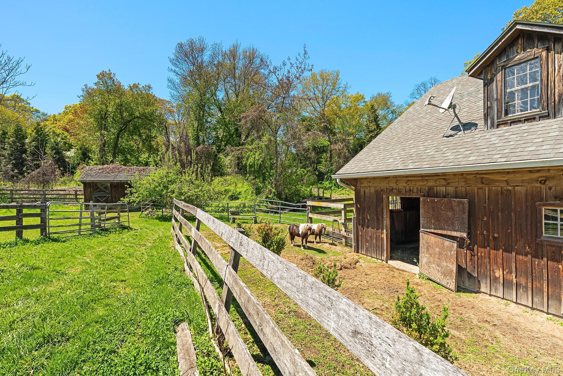 540 Chicken Valley Road Property Photo 19