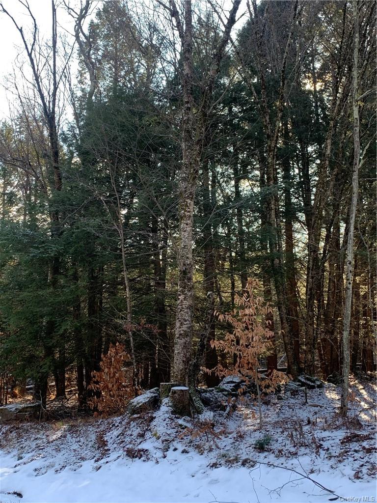 Friedman Road Property Photo 4