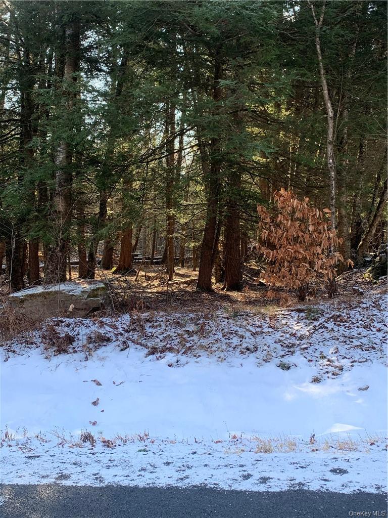 Friedman Road Property Photo 6