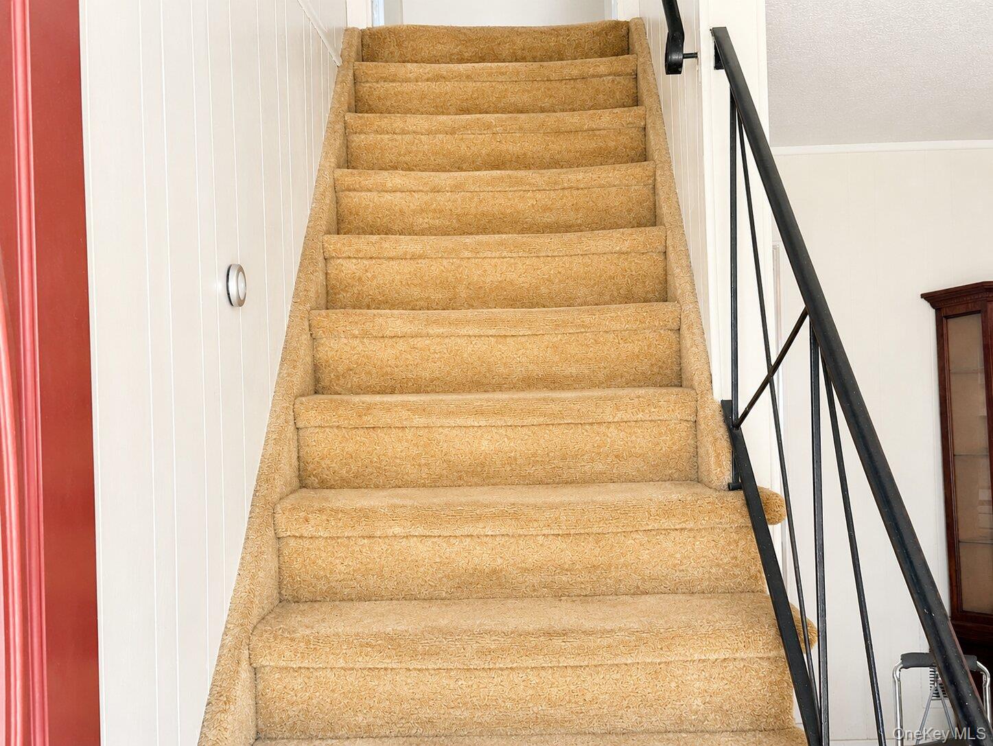 11 Bedford Street Property Photo 7