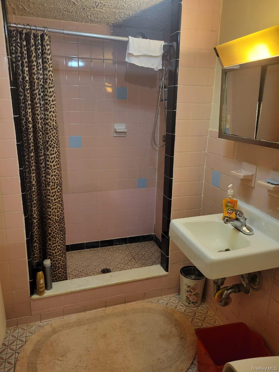 818 E 227th Street Property Photo 16