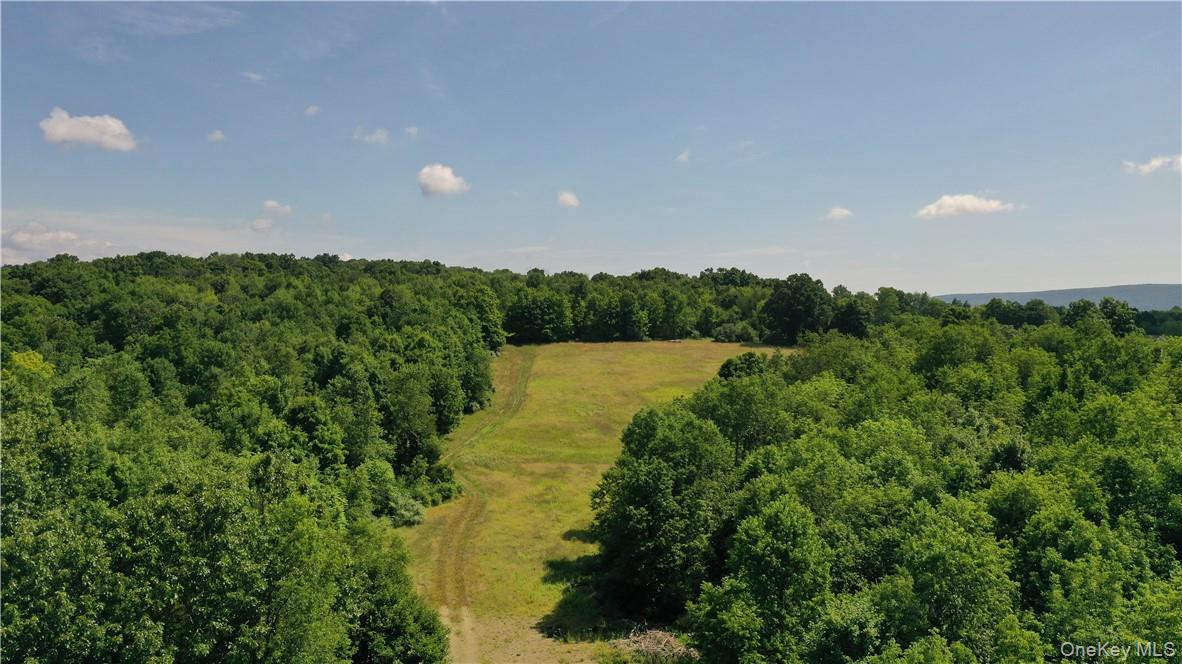 56 Maple Avenue Property Photo 6