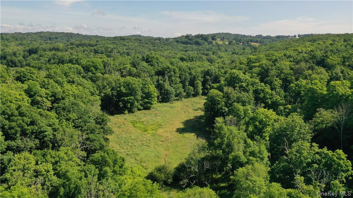 56 Maple Avenue Property Photo 8