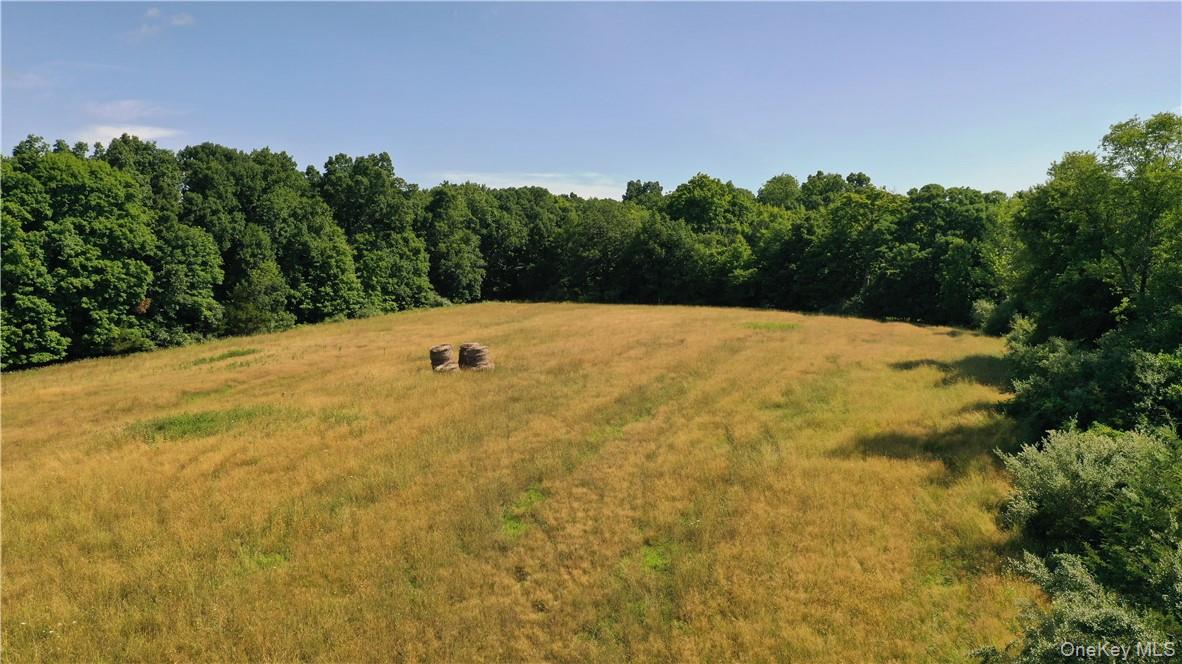 56 Maple Avenue Property Photo 9