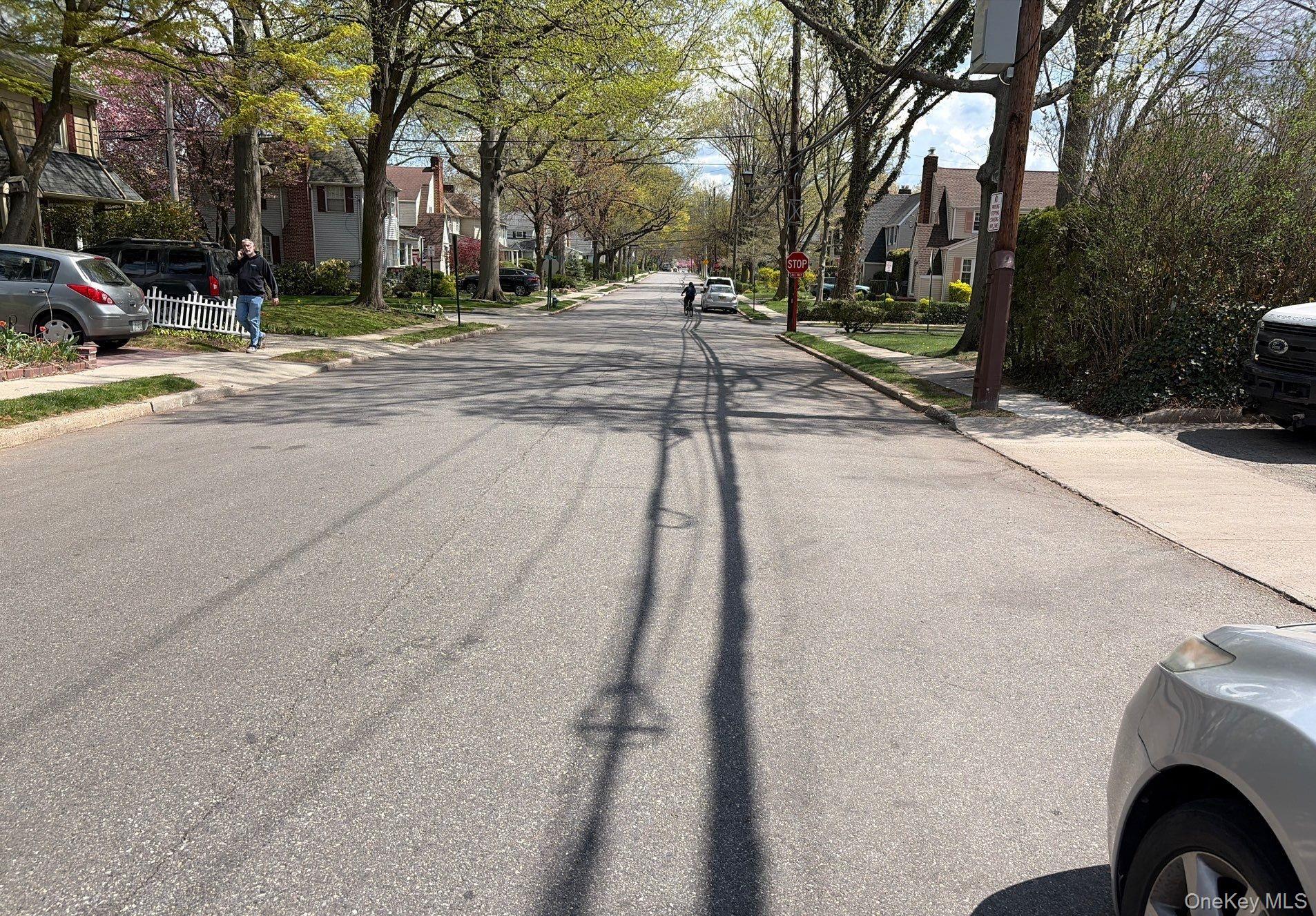 8 Chester Avenue Property Photo 4