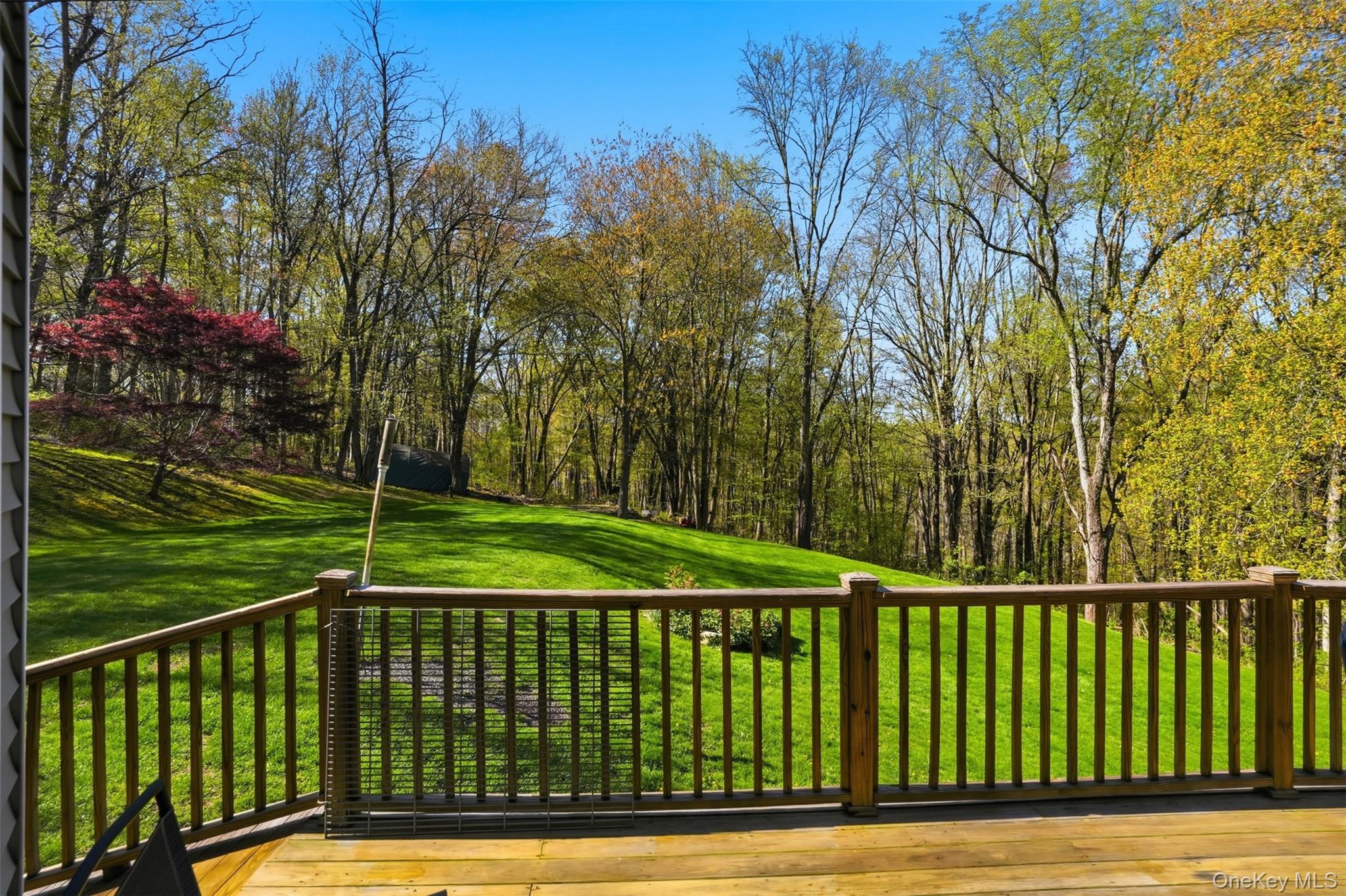 17 Skyview Lane Property Photo 41
