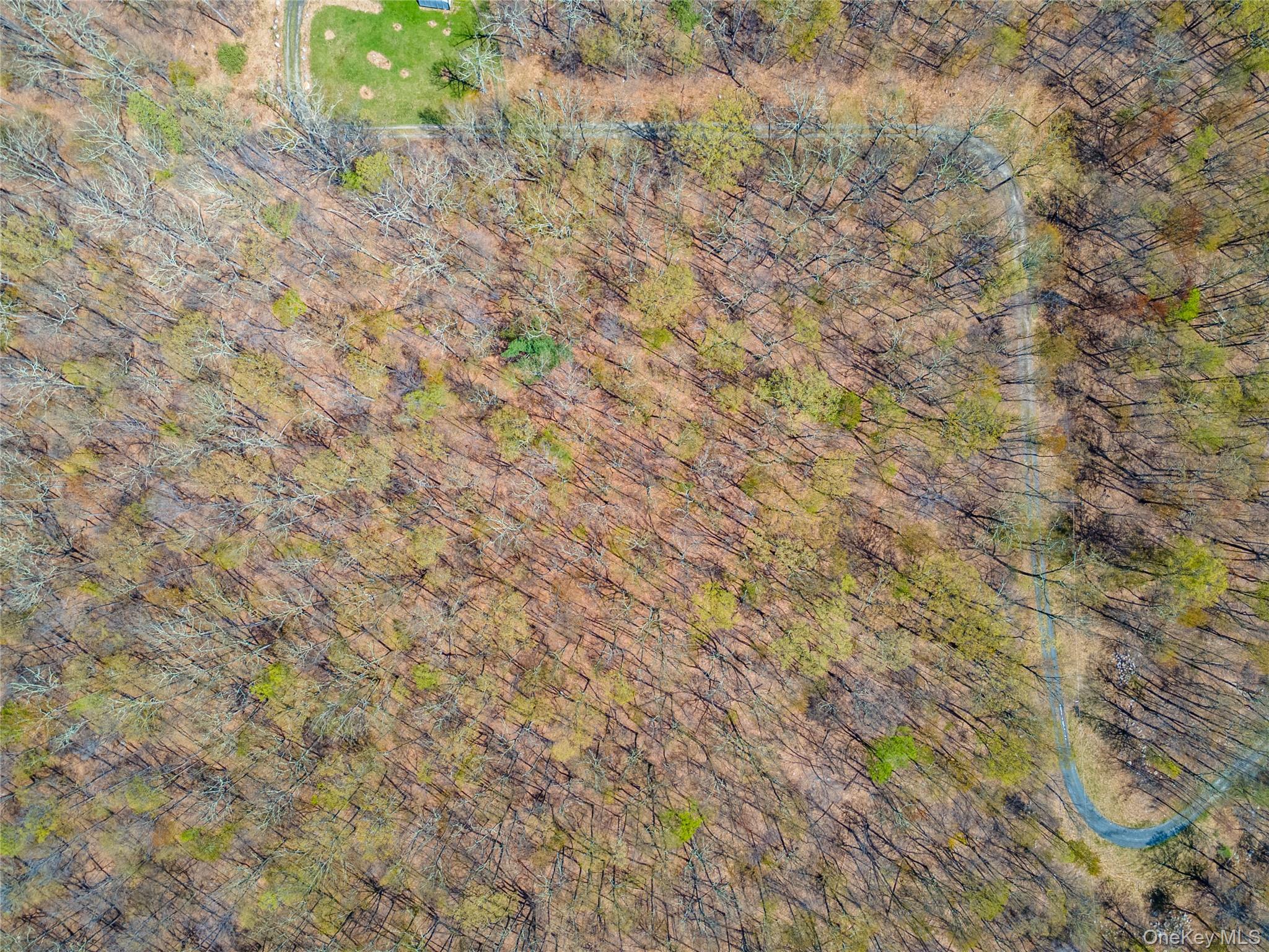 Tbd Forest Glen Road Property Photo 4