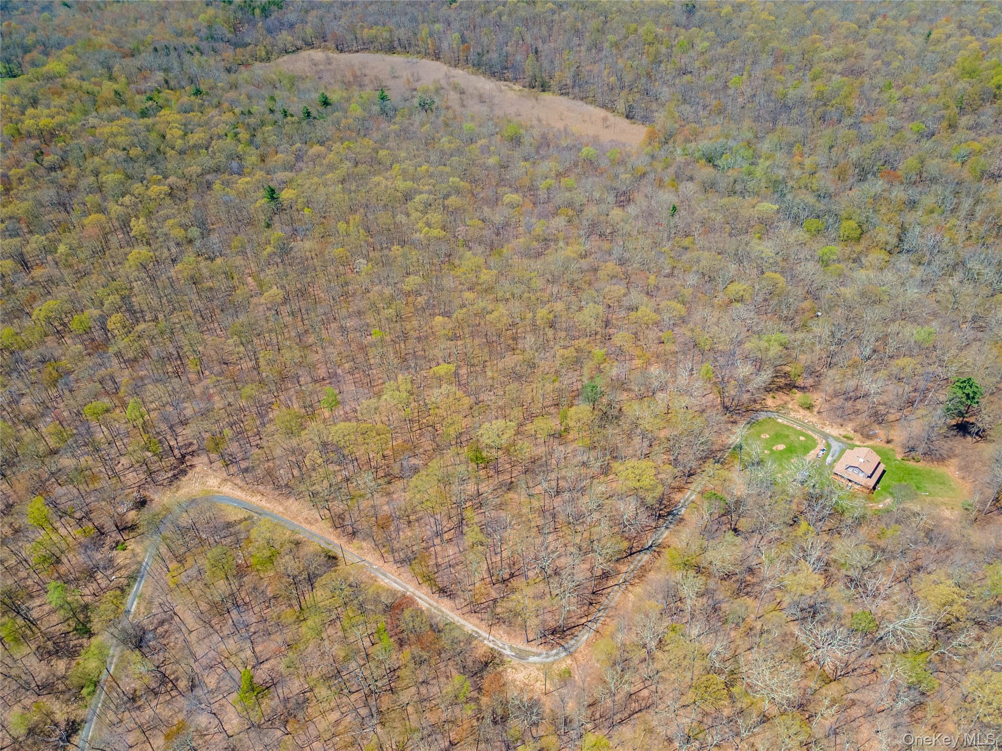 Tbd Forest Glen Road Property Photo 5
