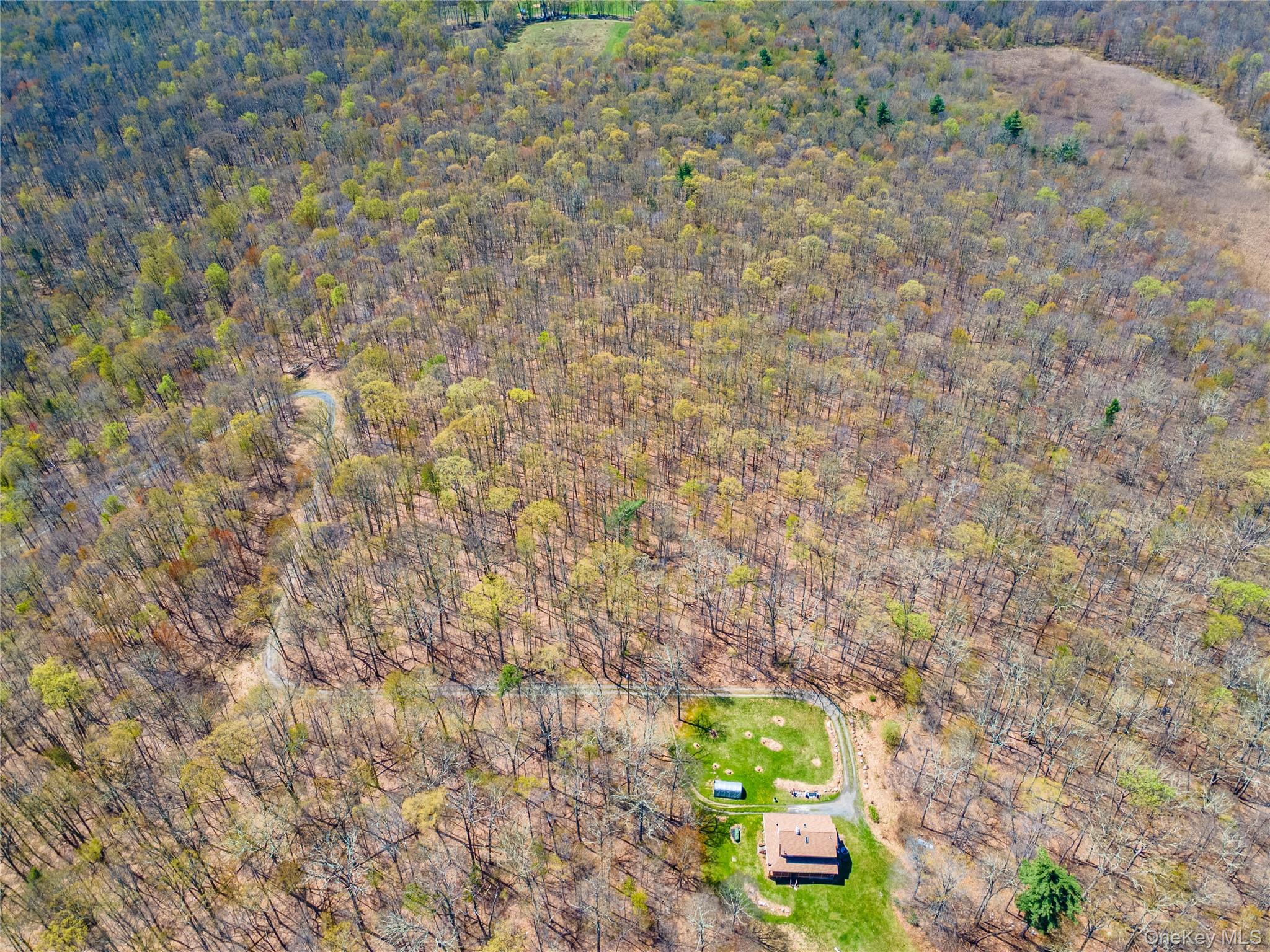Tbd Forest Glen Road Property Photo 6