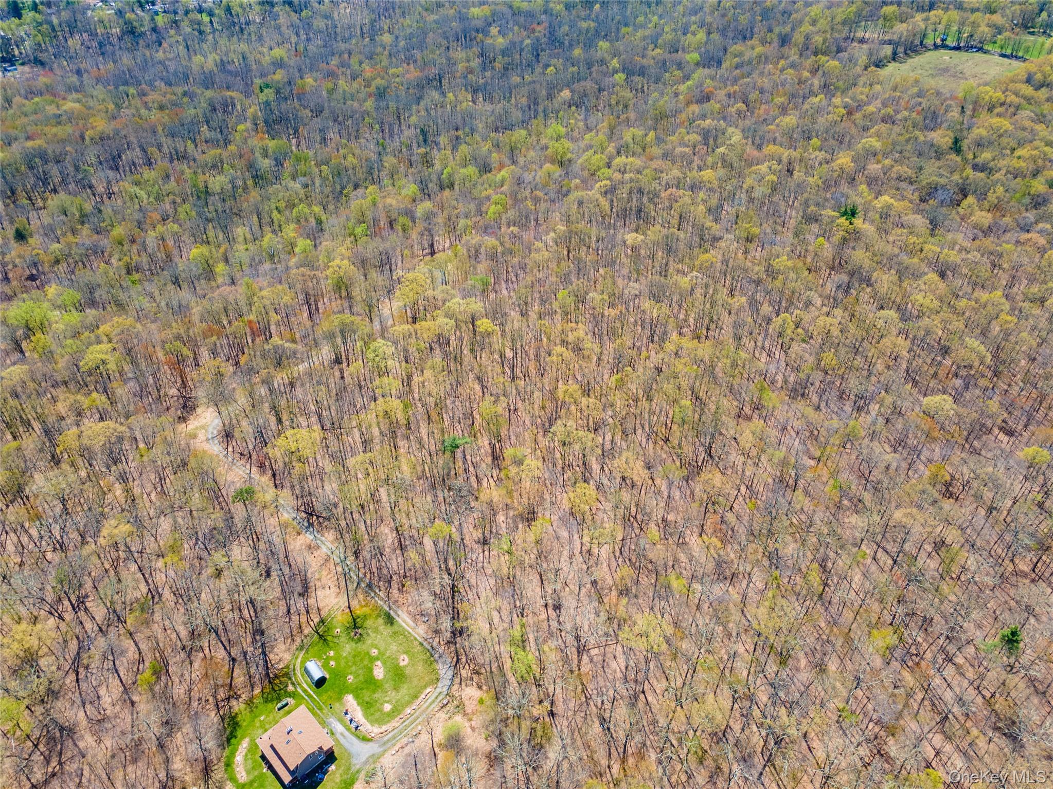 Tbd Forest Glen Road Property Photo 7
