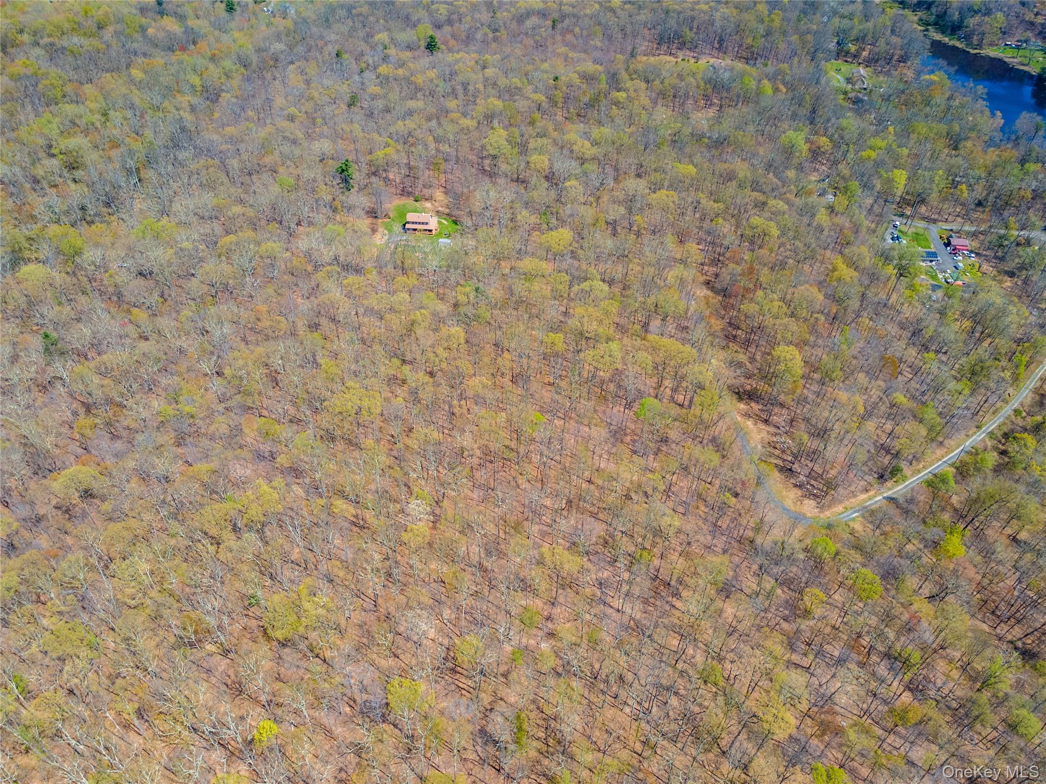 Tbd Forest Glen Road Property Photo 8
