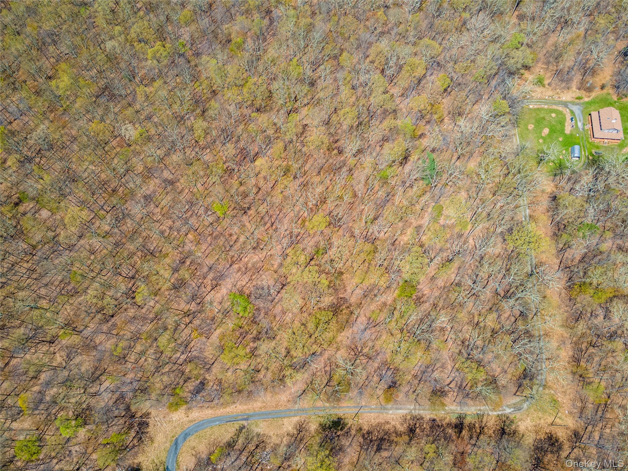 Tbd Forest Glen Road Property Photo 13