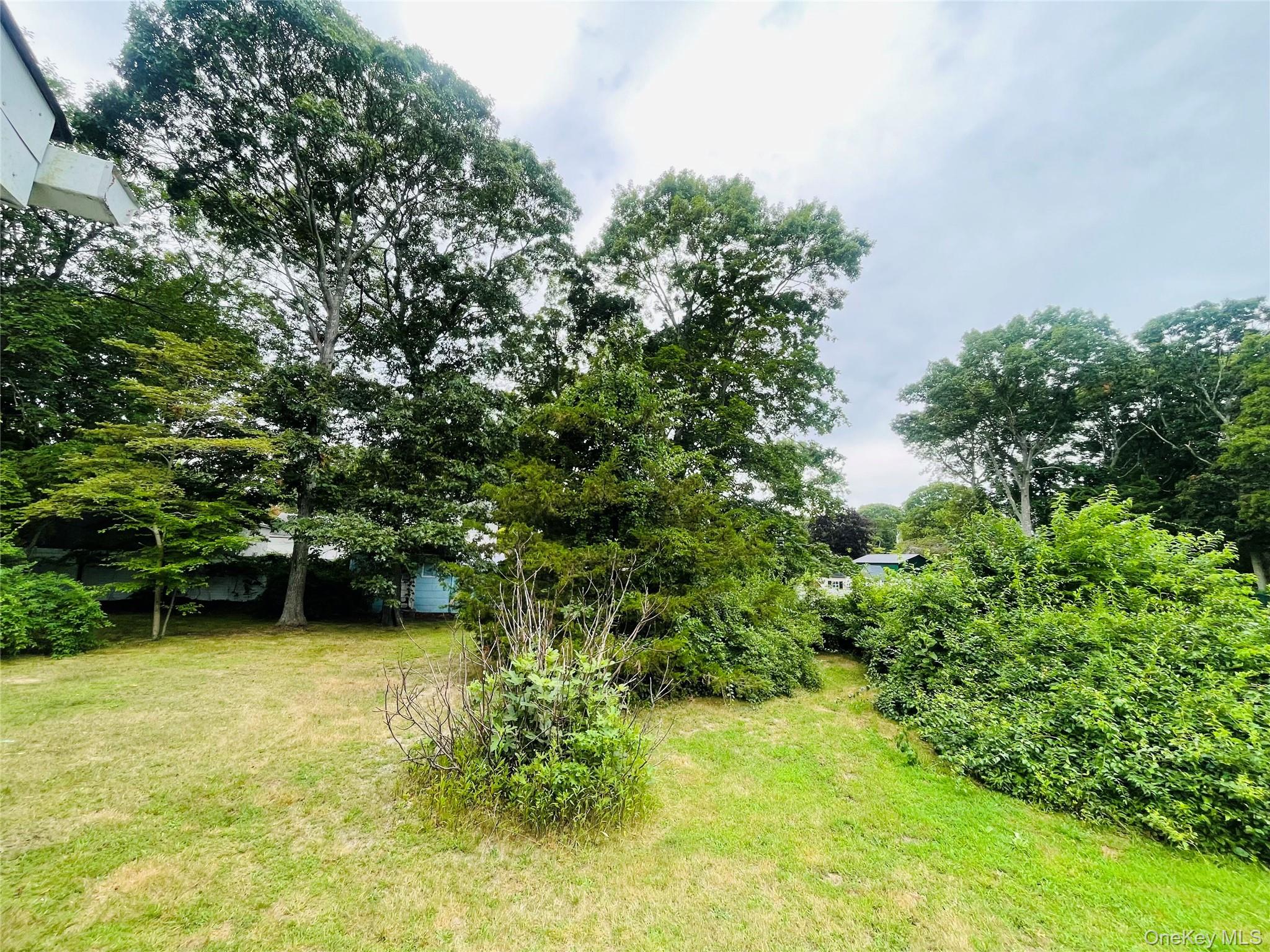 66 Corbin Avenue Property Photo 21