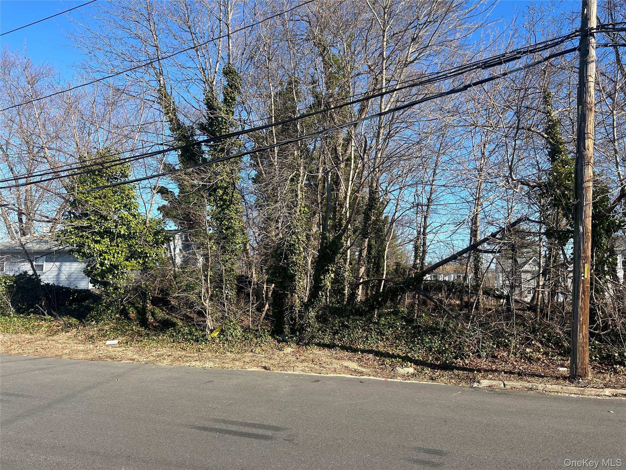 15 Chestnut Street Property Photo 1