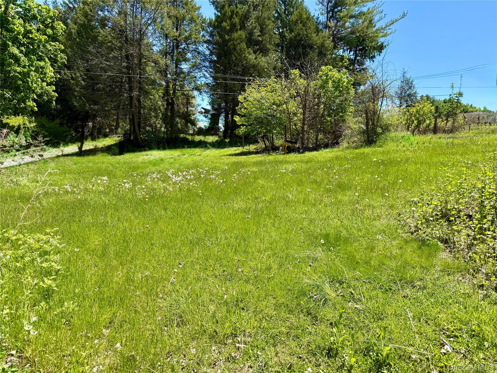 Walnut Street Property Photo 2