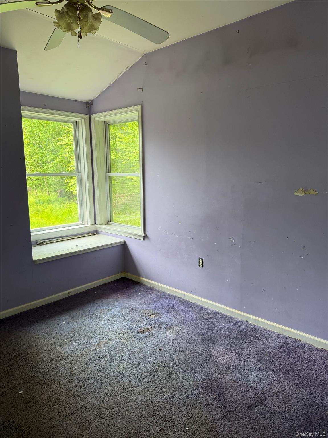 21 Hoffmann Street Property Photo 31