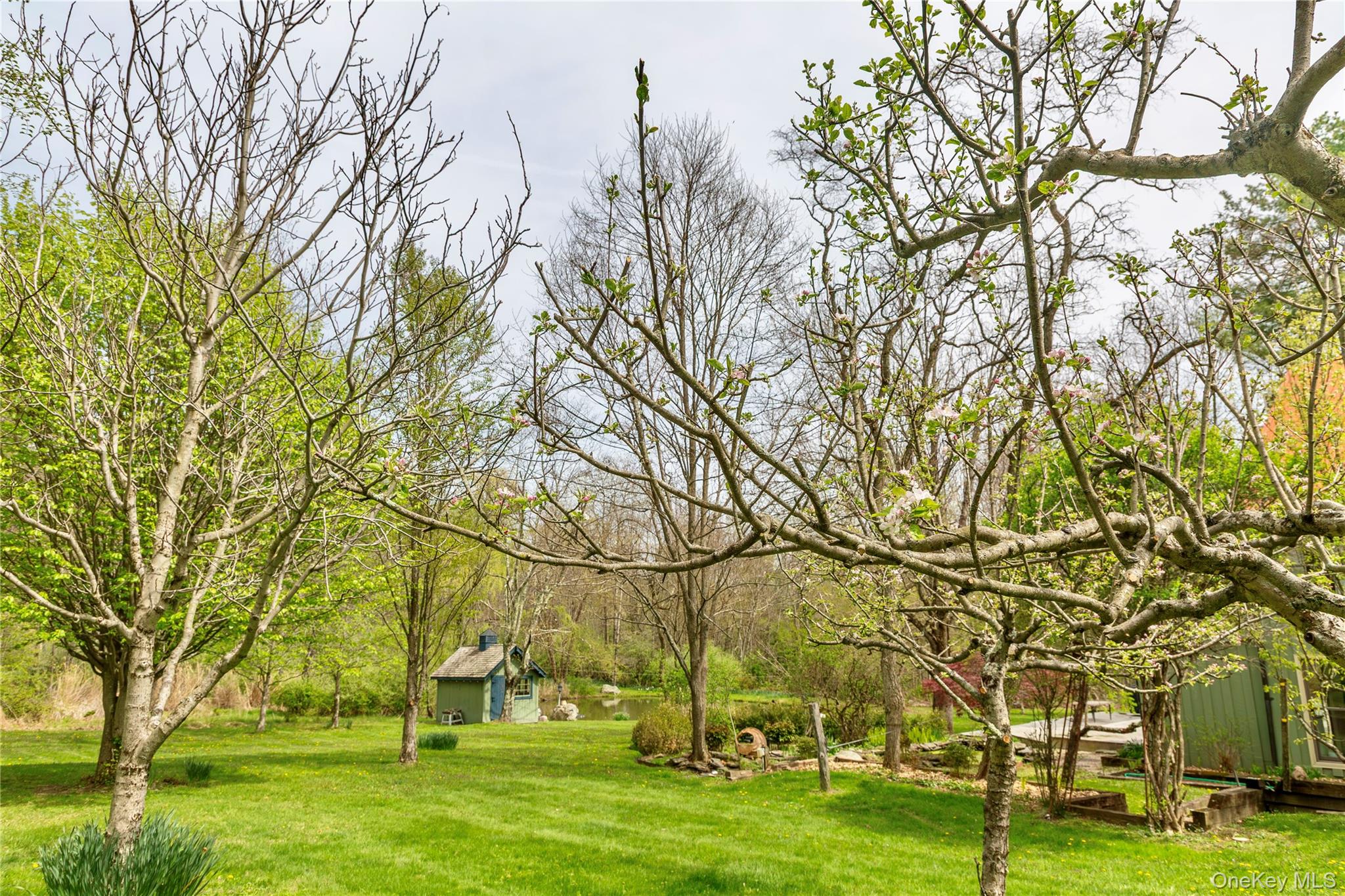 2339 State Route 82 Property Photo 45