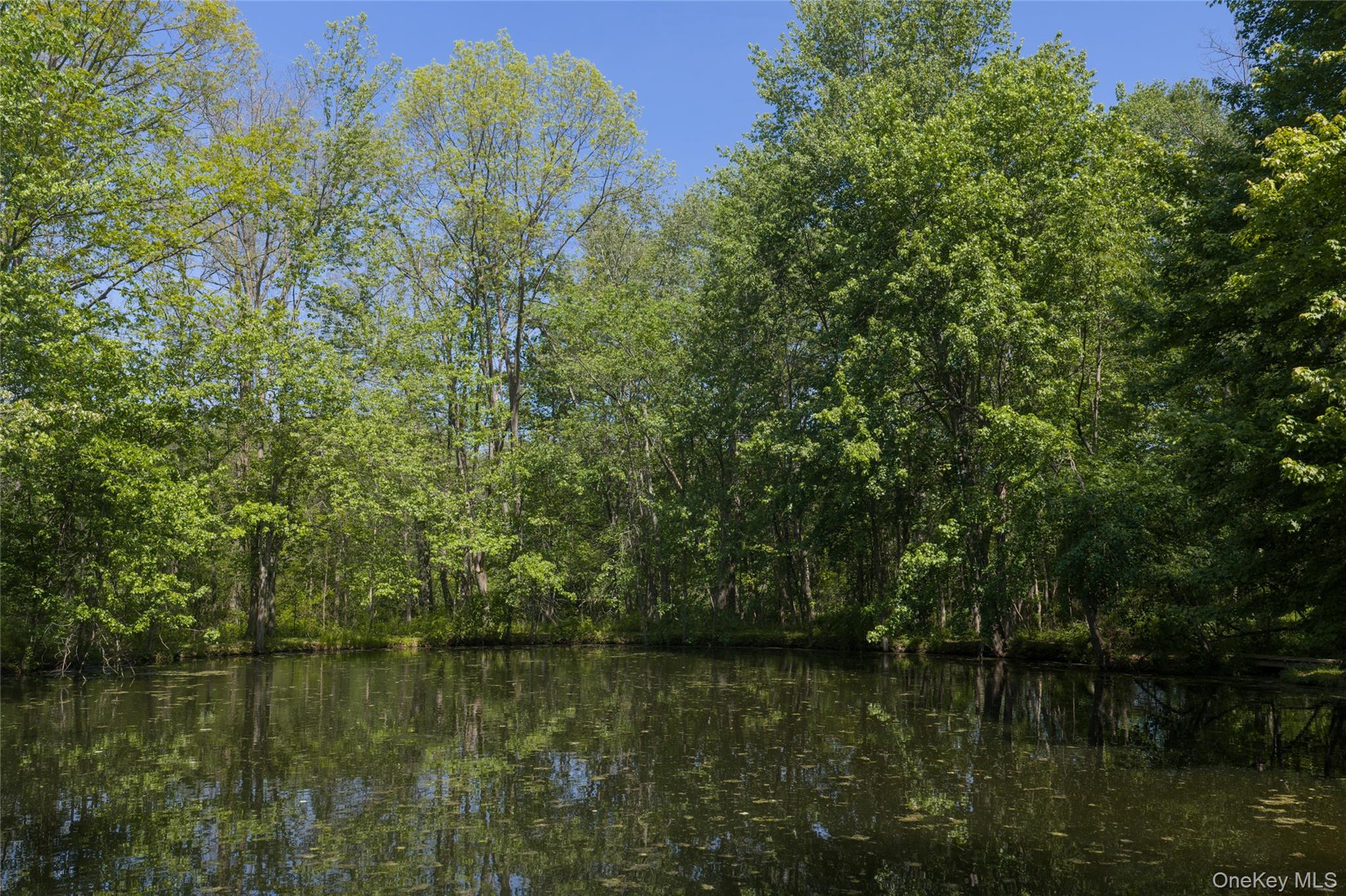 181 Twin Arch Road Property Photo 26
