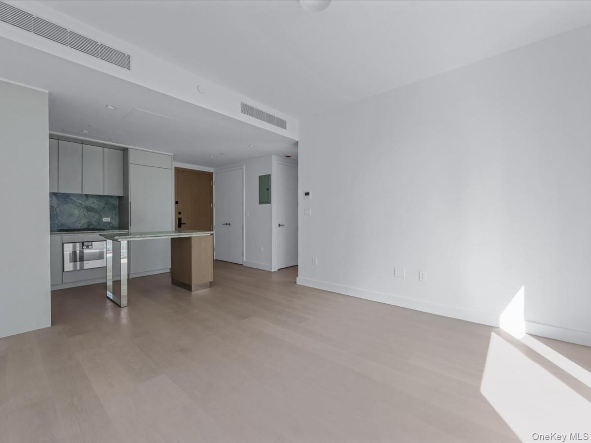 250 E 25th Street 9b Property Photo 11