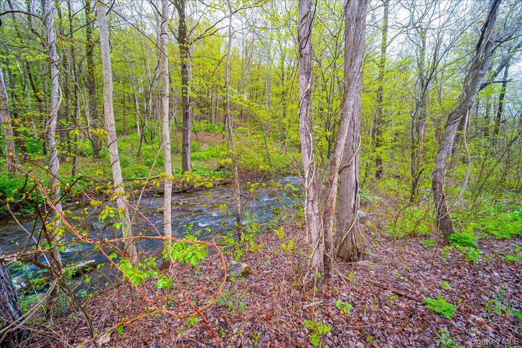 287 Hunns Lake Road Property Photo 33