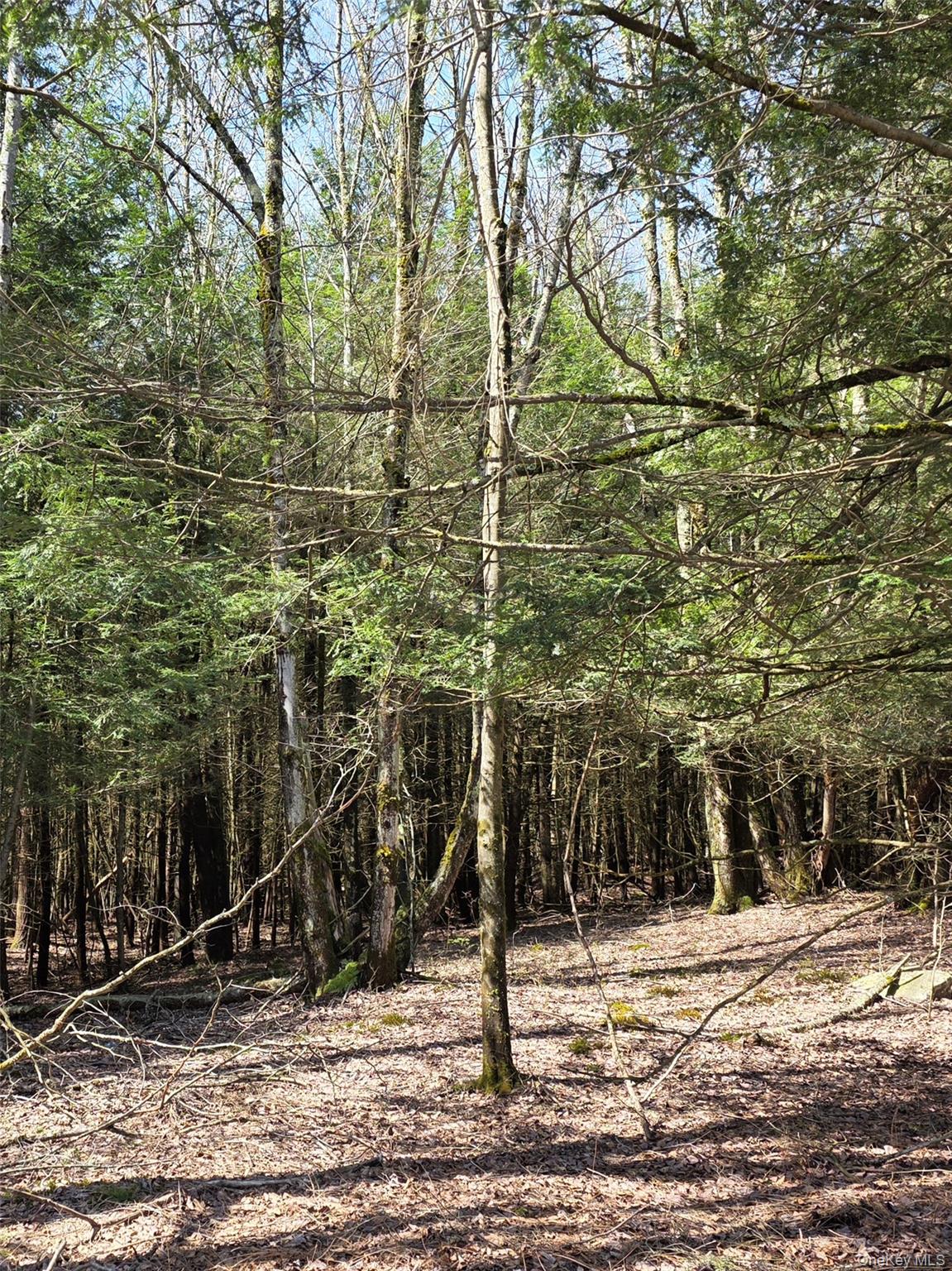 Highview Acres Property Photo 3