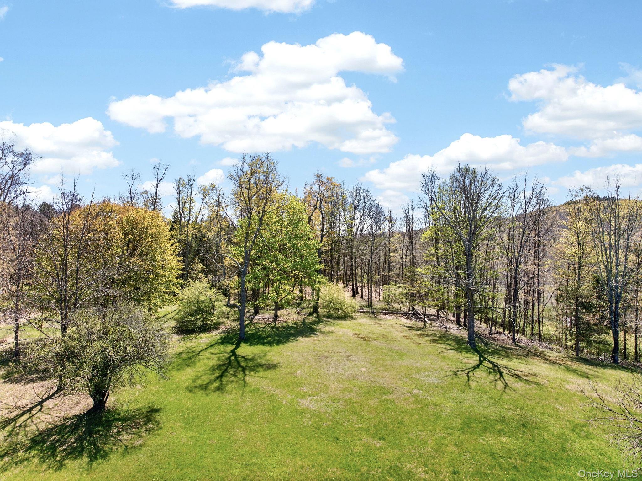 1429 Jackson Corners Road Property Photo 45