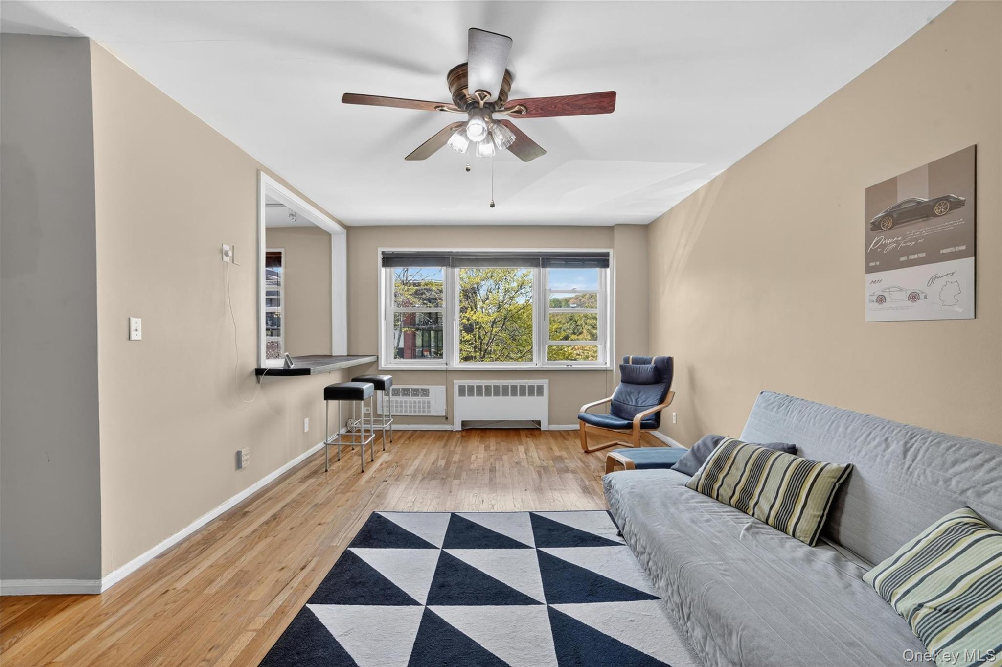 30 E Hartsdale Avenue 2a Property Photo 5