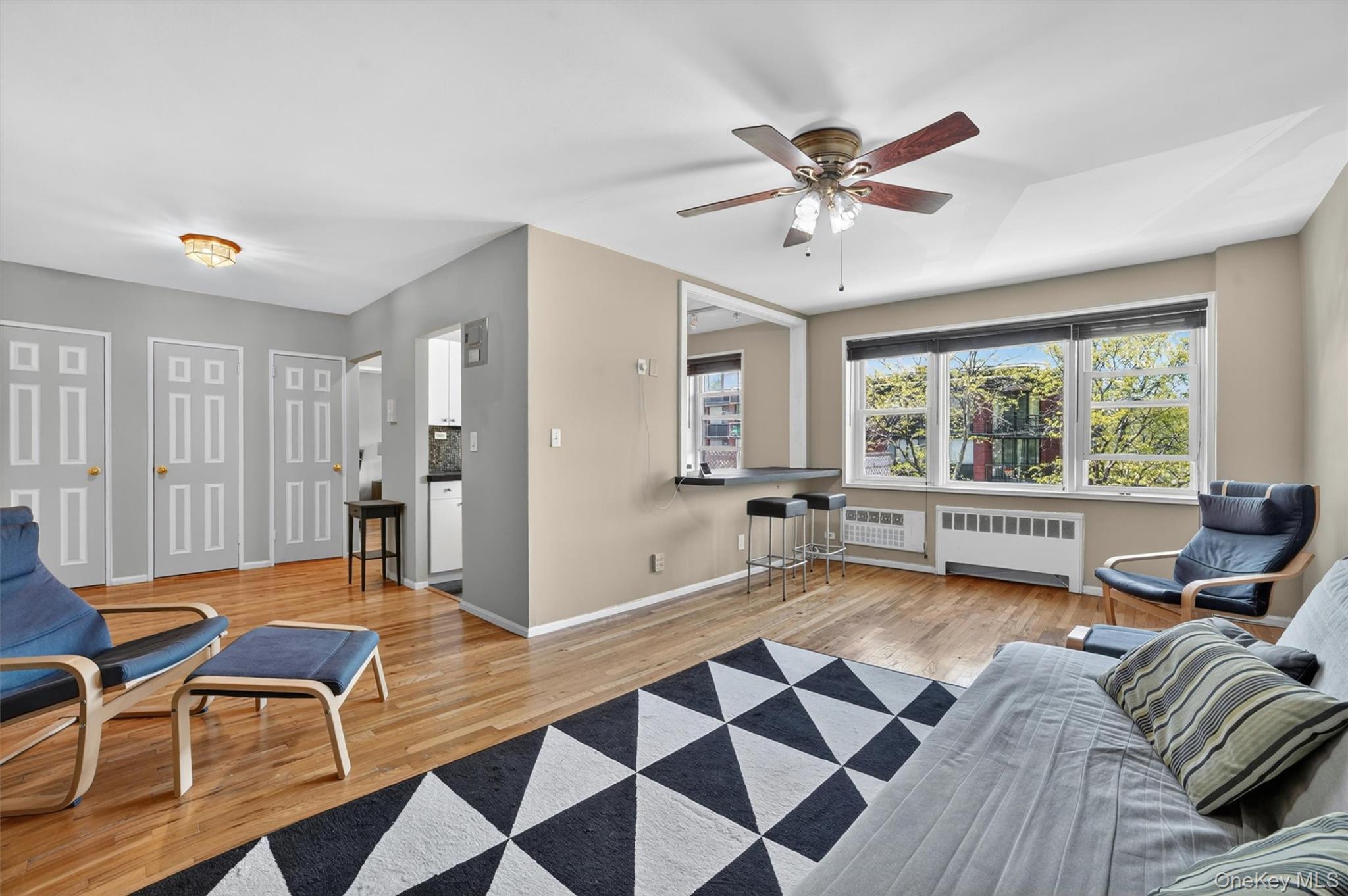 30 E Hartsdale Avenue 2a Property Photo 6