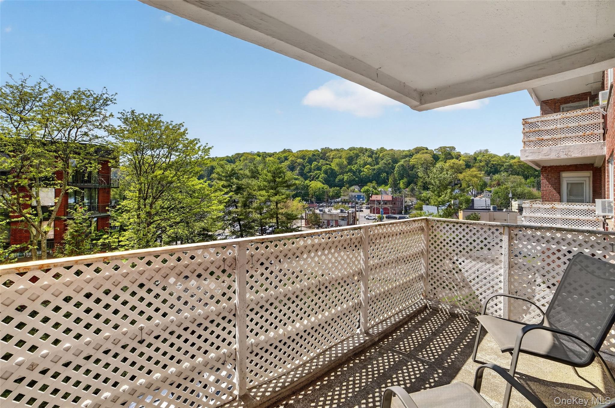 30 E Hartsdale Avenue 2a Property Photo 19