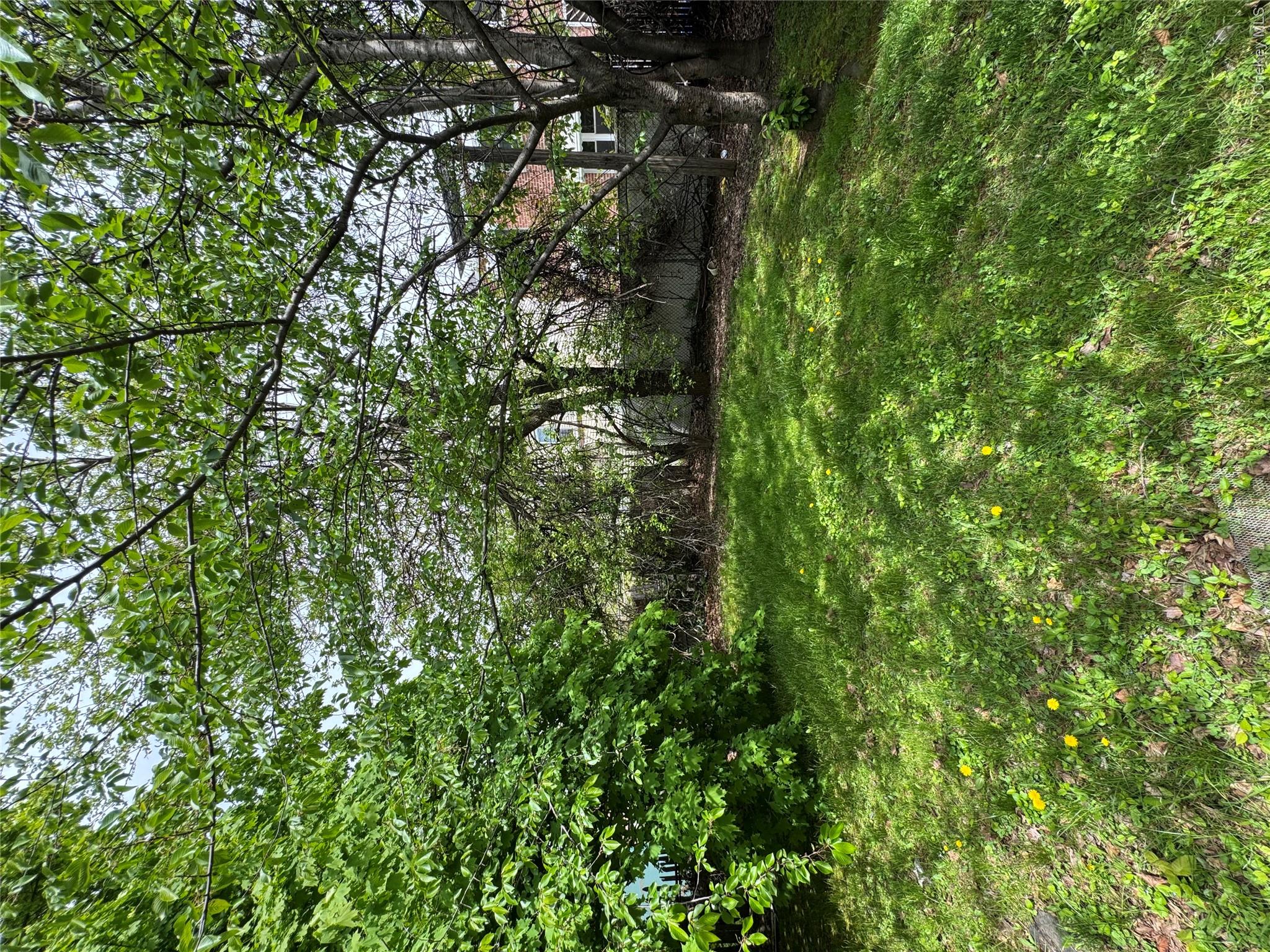 819 E 221st Street Property Photo 7